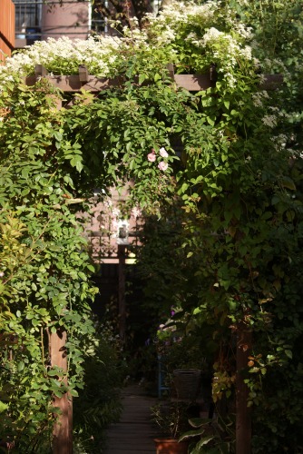 f0170524_1984173.jpg