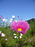 c0108128_2302694.jpg