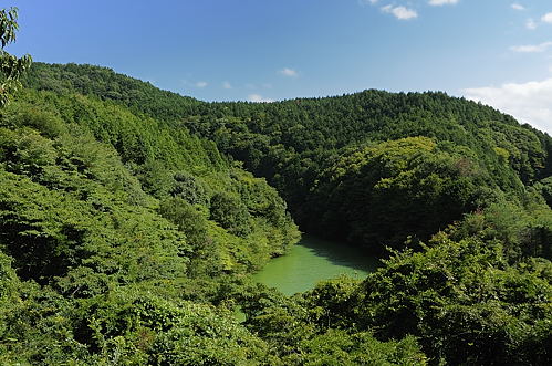 f0009128_17133791.jpg