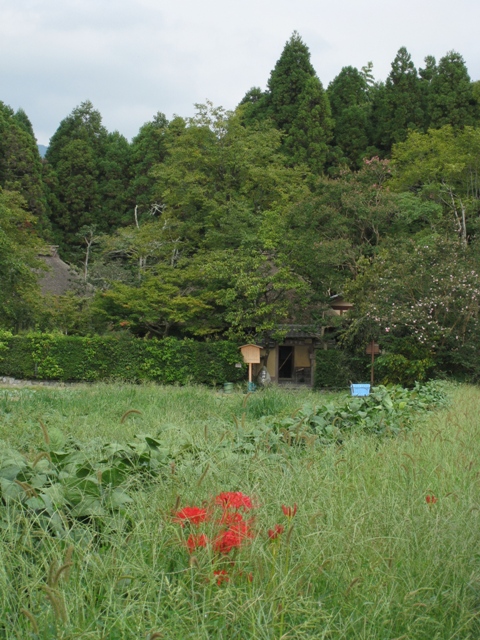 初秋の嵯峨野巡り（前編）_b0169330_1046241.jpg