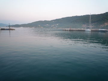 d0136540_36514.jpg