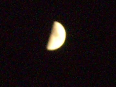 e0110940_220389.jpg