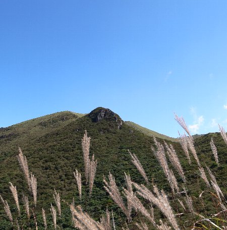 c0078441_18202494.jpg