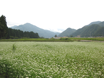 a0115142_10091.jpg