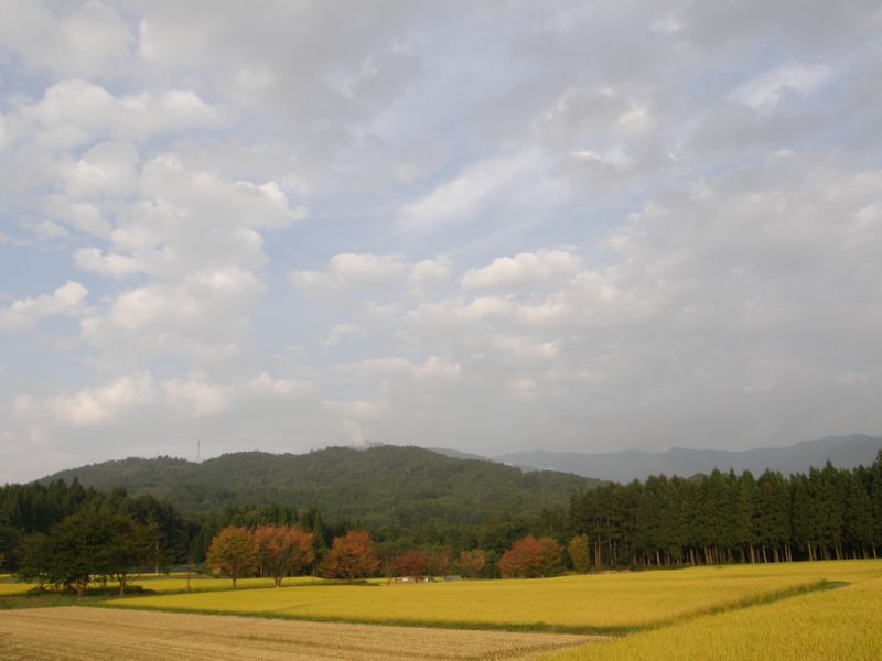 e0126946_20263042.jpg