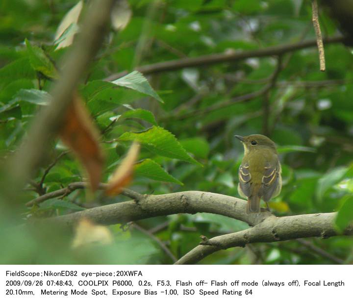 2009.9.26 秋ヶ瀬公園・子供の森_c0062451_195383.jpg