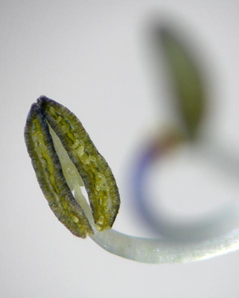 e0035757_17145697.jpg