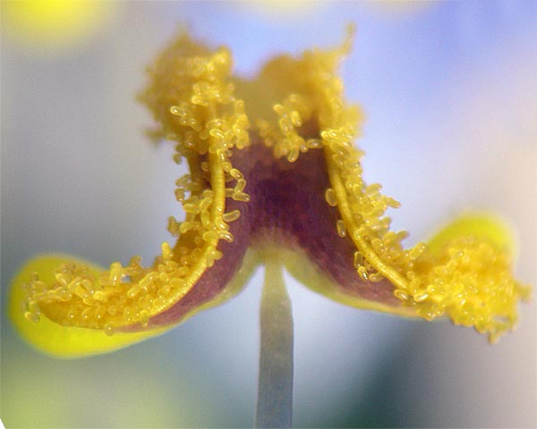 e0035757_17154023.jpg