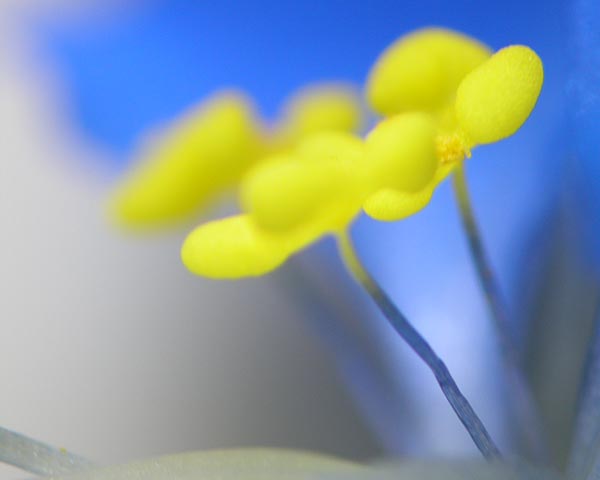 e0035757_17163942.jpg