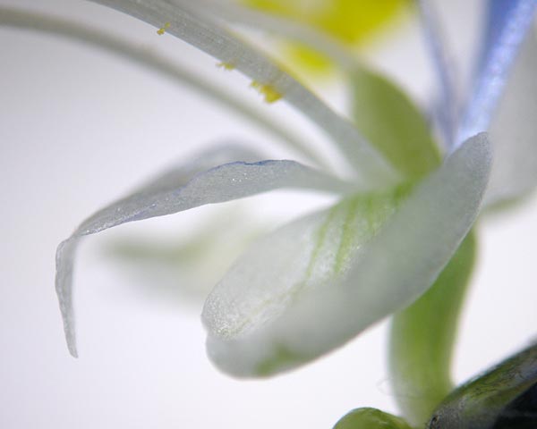e0035757_1785041.jpg