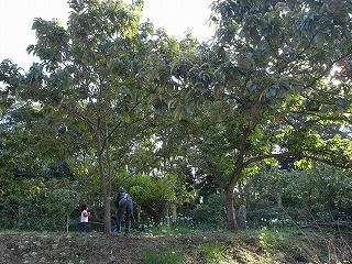 c0184659_0242511.jpg