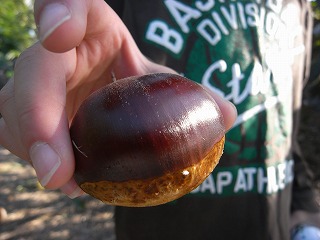 c0184659_0261510.jpg