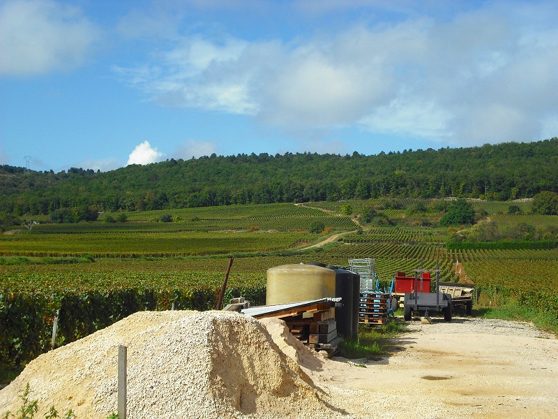 c0130161_8293340.jpg