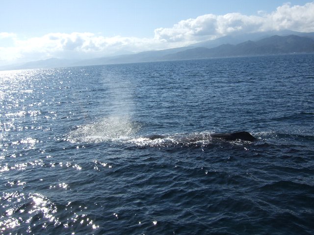 d0129962_8113762.jpg