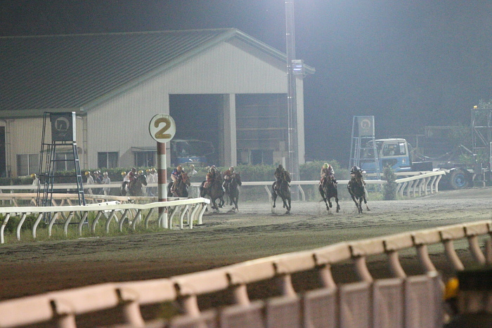 2009年9月26日（土） 高知競馬 9R キンモクセイ特別 C1 選抜馬_a0077663_2271760.jpg