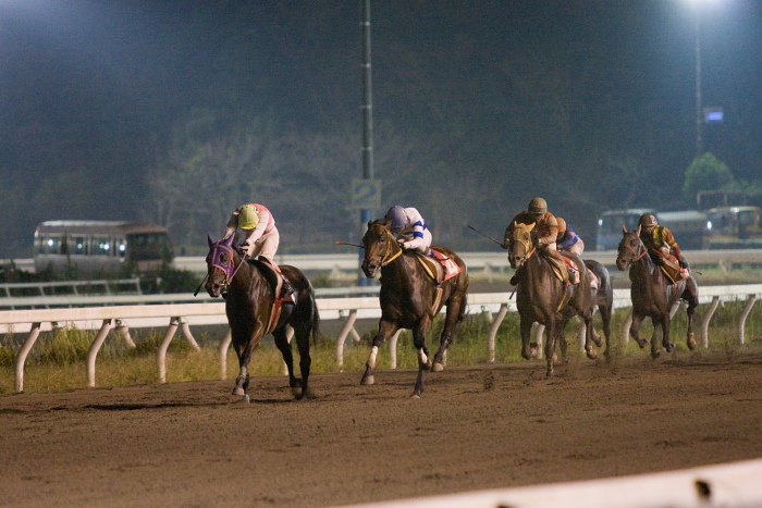 2009年9月26日（土） 高知競馬 9R キンモクセイ特別 C1 選抜馬_a0077663_2273115.jpg