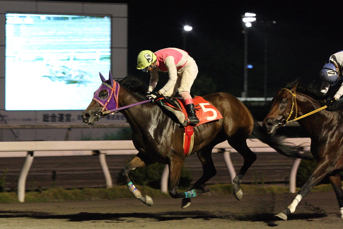 2009年9月26日(土) 高知競馬 9R キンモクセイ特別 C1 選抜馬_a0077663_227387.jpg