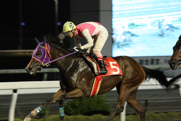 2009年9月26日（土） 高知競馬 9R キンモクセイ特別 C1 選抜馬_a0077663_227892.jpg