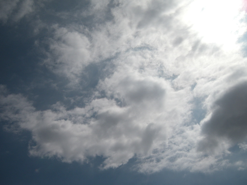 b0116763_42942.jpg