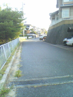 今日のコースは宮島に有る団地内_d0048364_864560.jpg