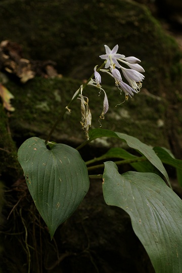 e0054067_2215419.jpg