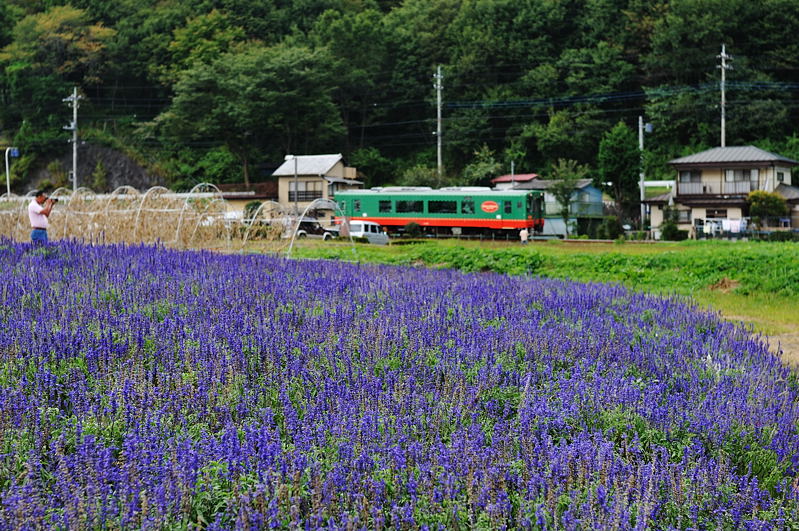 秋　〜道の駅で_d0137876_16213070.jpg