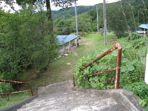 a0087378_5235580.jpg