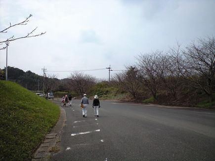 博多駅まつり ~ 福間つれづれ_b0005281_20595636.jpg