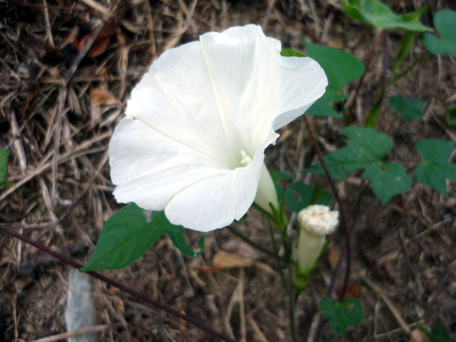 c0125283_21563234.jpg