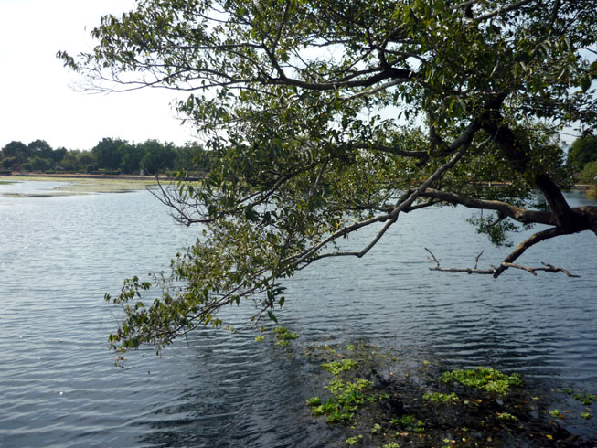 c0125283_2251611.jpg