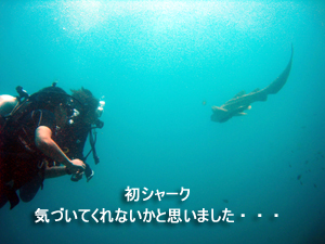 どんぶらこっ、どんぶらこっとピピ島へ_f0144385_23565480.jpg