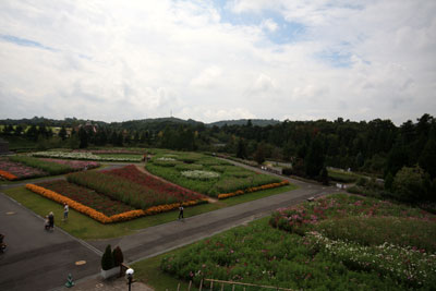 b0119190_21443859.jpg