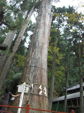 パワースポットへ行く。_d0063290_23595543.jpg