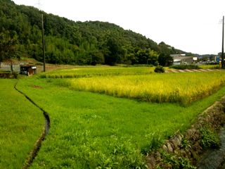 シングルで行こう！　鶴見川源流編_d0010496_2094364.jpg