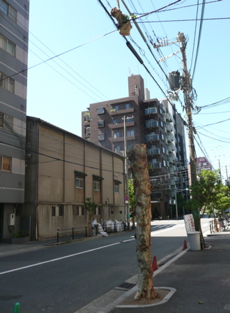 f0146198_15303660.jpg