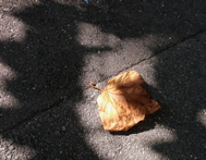 f0146198_16562120.jpg