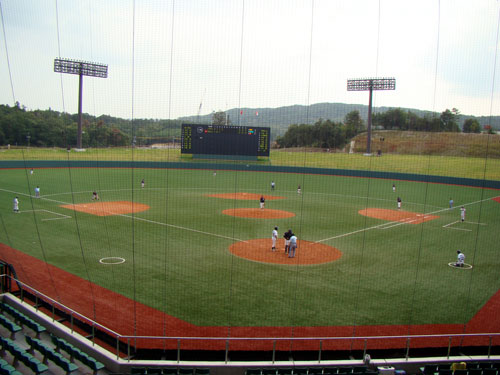 野球場はしご_a0047200_2125425.jpg