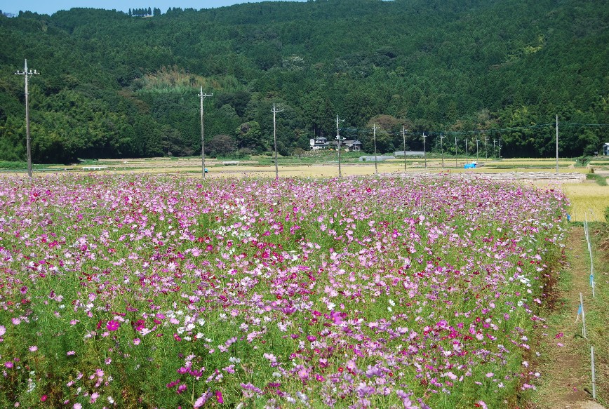 ちょっと足を延ばして～初秋の１日～_f0101201_20575914.jpg