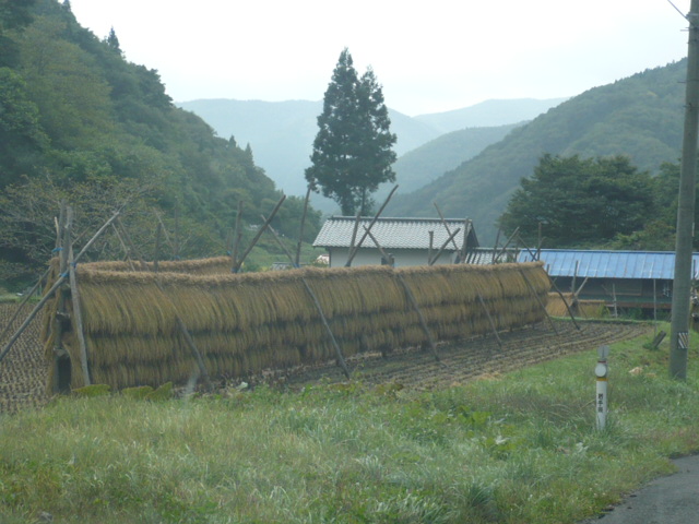 d0131505_20395422.jpg