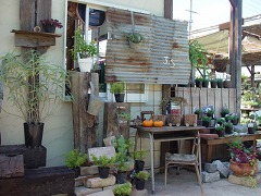 c0190010_16173866.jpg