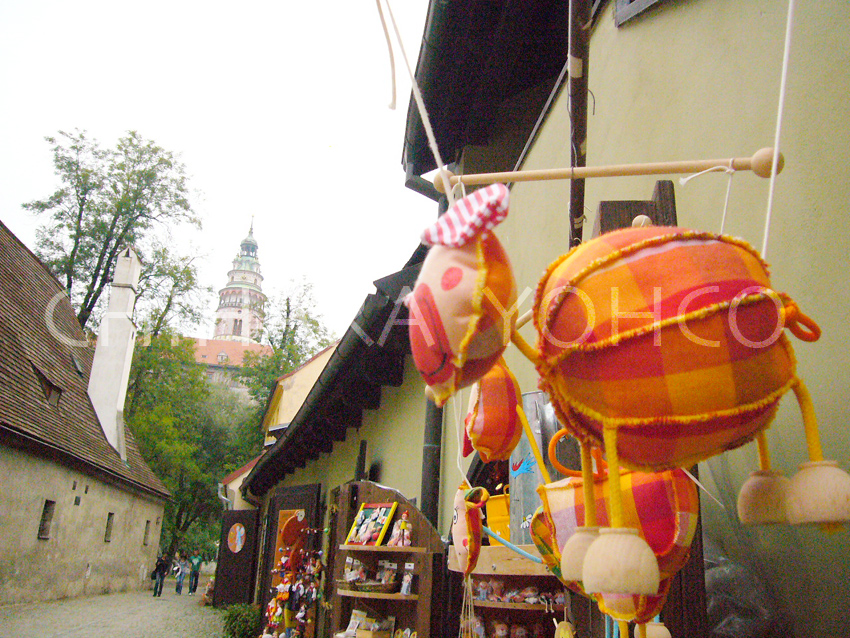 b0025511_11254149.jpg