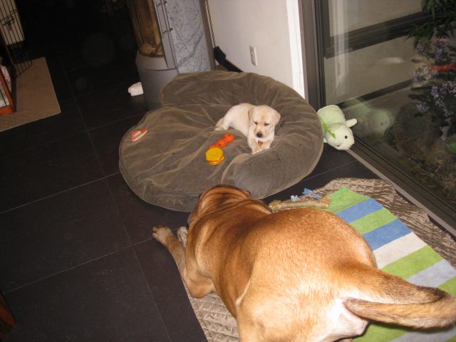e0192217_2030990.jpg