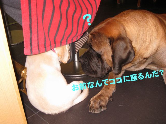 e0192217_20513142.jpg