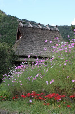 かやぶきの里　美山_d0072318_95244.jpg