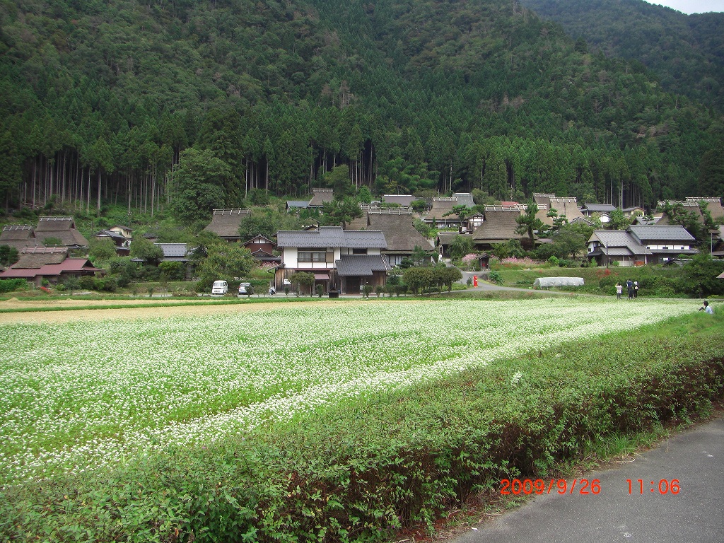 京見峠～美山～佐々里峠～貴船_e0171018_1675666.jpg