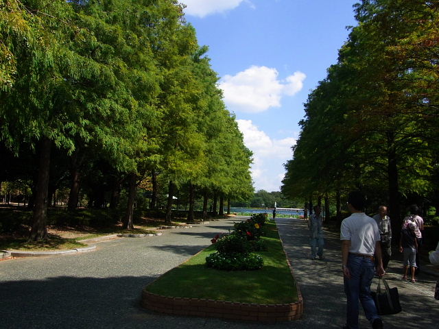 長居植物園のトンボ・睡蓮・彼岸花・沼杉・プティロータス_a0037019_0103697.jpg