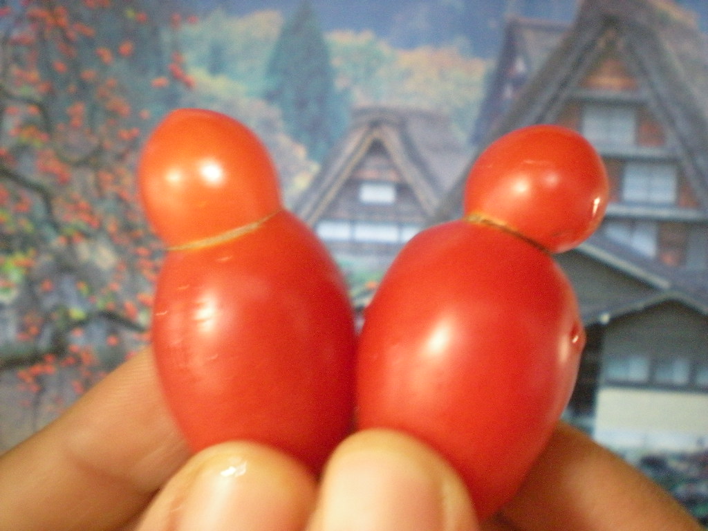 激動の毎日_a0125419_701260.jpg