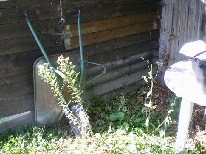 c0124619_341767.jpg