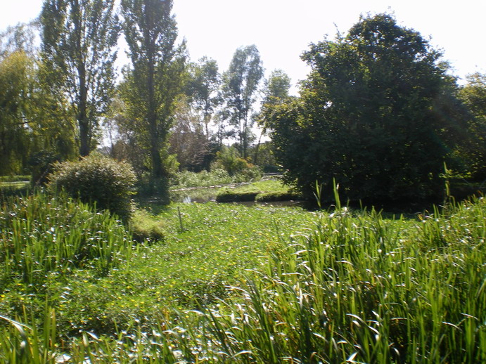 c0124619_3423364.jpg