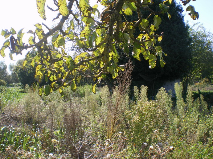 c0124619_3451521.jpg
